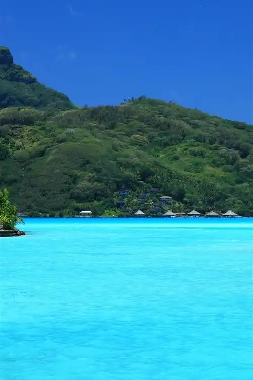 640_960竖版 竖屏