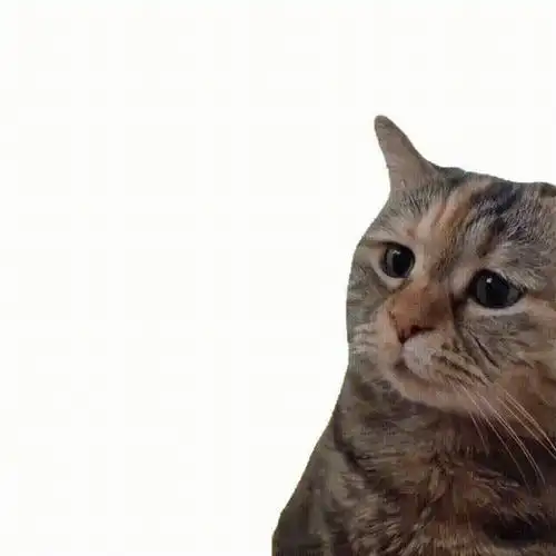 一些很有趣的表情包 拿图请顺便吱一声 很难有动力发图了