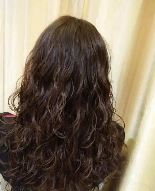 2018狗年流行"泰迪卷