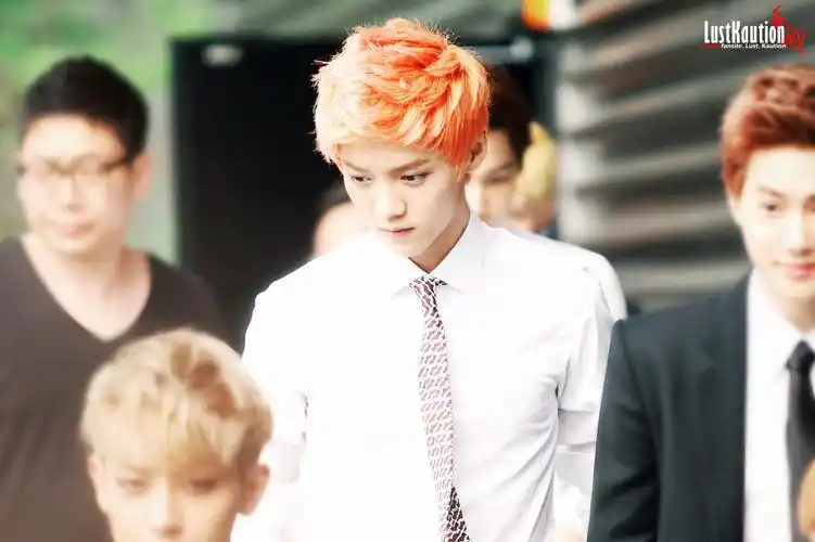 鹿晗luhan exo - 堆糖,美图壁纸兴趣社区