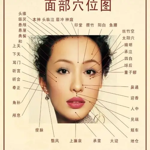 新氧体验官面部穴位图