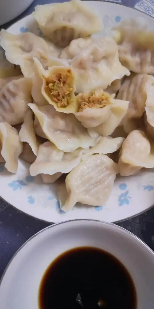 寒梅悠春做的吃不够的酸菜肉馅饺子