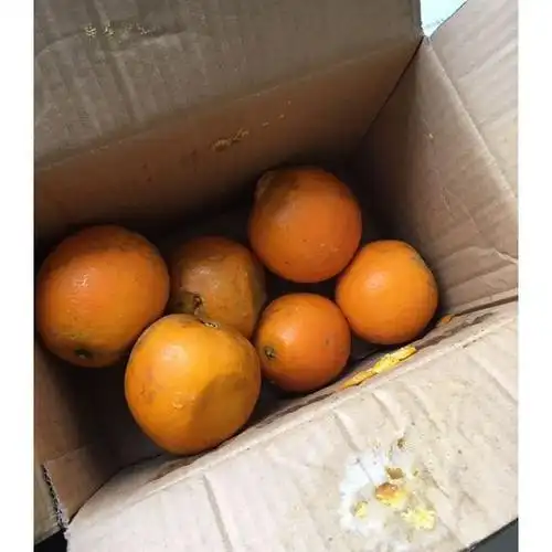 5斤 新鲜橙子(偶数件发)商品评价 > 可能是运输的问题,坏.