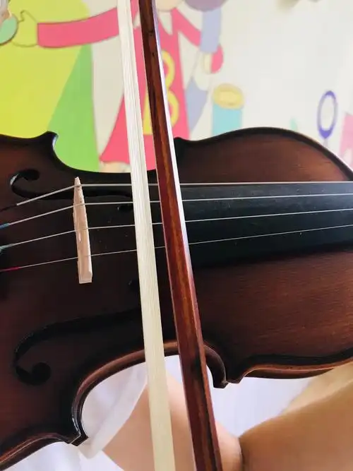 小小提琴演奏家养成记