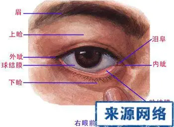 有人说眉毛到睑缘叫眼睑,那上眼睑就是双眼皮咯?