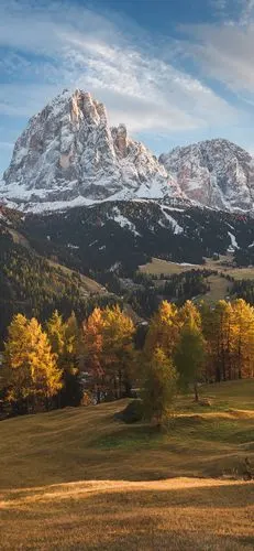 1080_2340竖版 竖屏