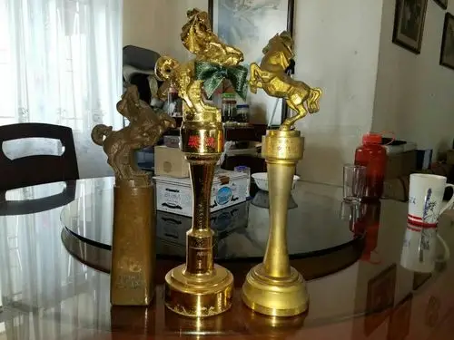 老姑王莱四次获得的金马奖奖杯.