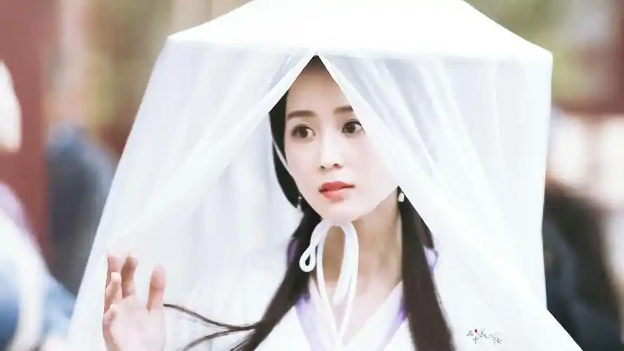 张钧甯军师联盟