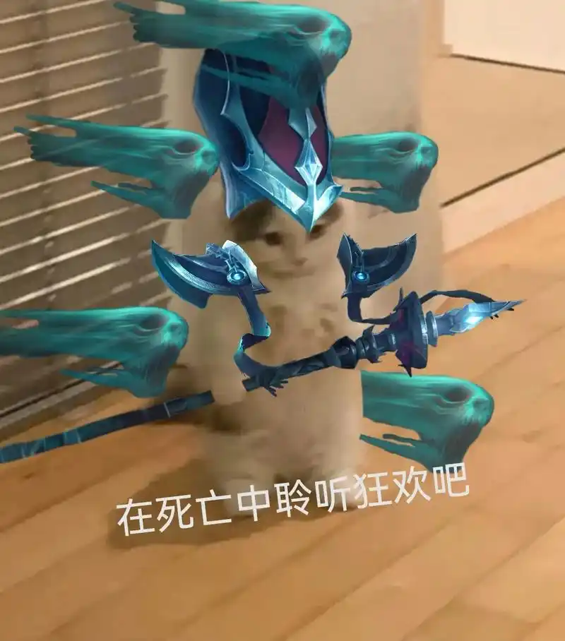 英雄联盟猫猫 #英雄联盟表情包 #英雄联盟表情图 #lol - 抖音