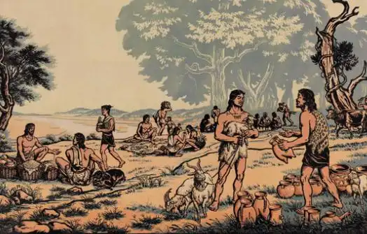 人类祖先怎样生活在原始森林