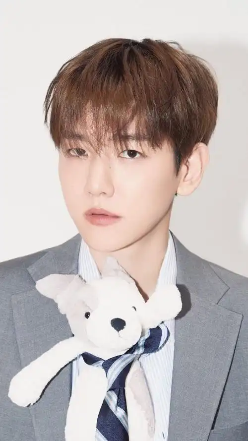 exo seasons greetings相关【边伯贤】@baekhyunee77815边甜甜