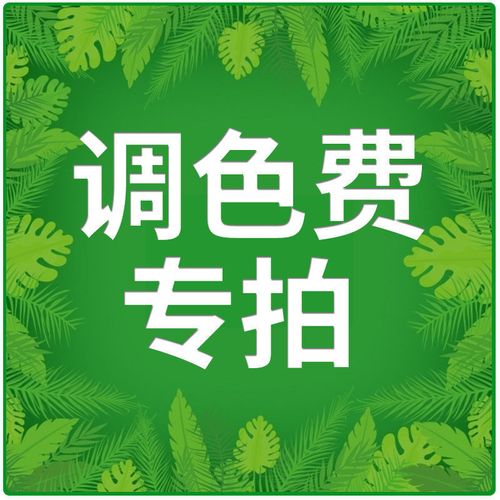 三棵树漆内墙墙漆 三棵树色浆 辅料 漆 涂料 油漆电脑调色费专拍