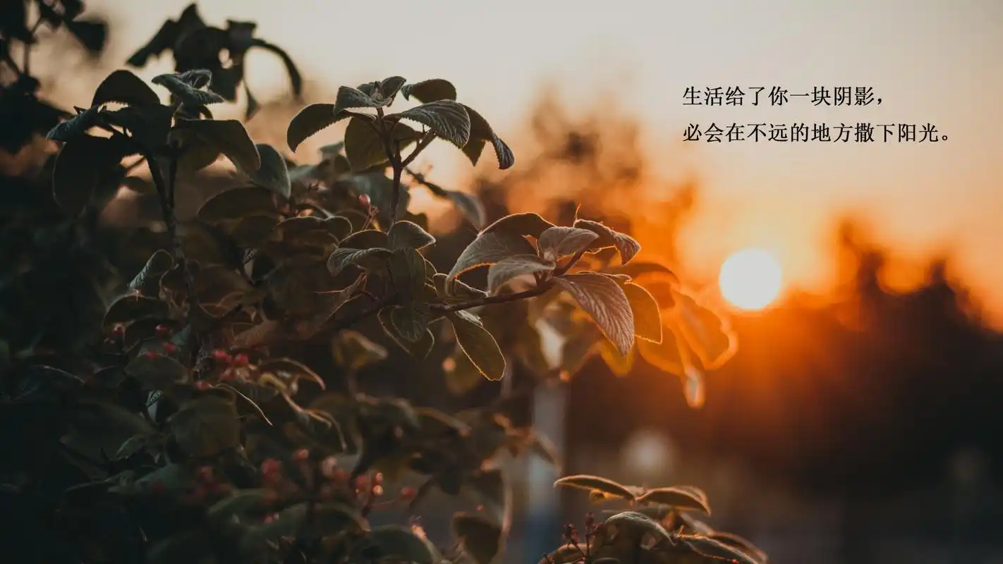 清新简约励志文字图片桌面壁纸高清大图预览1920x1080_高清壁纸下载