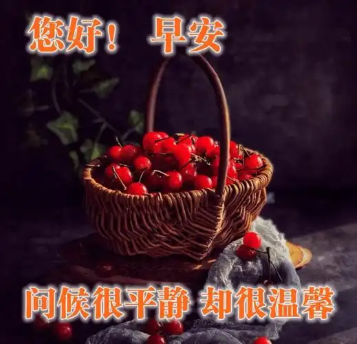 清晨最美早上好祝福短信息 早上好问候早安的句子图片群发