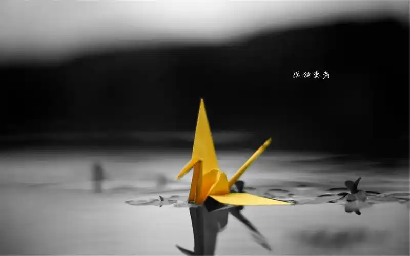 感觉孤独的壁纸灰色背景下水面上一只千纸鹤图片素材下载