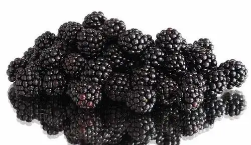 八种黑色系水果吃过三种以上你就不简单了吃过五种以上土豪