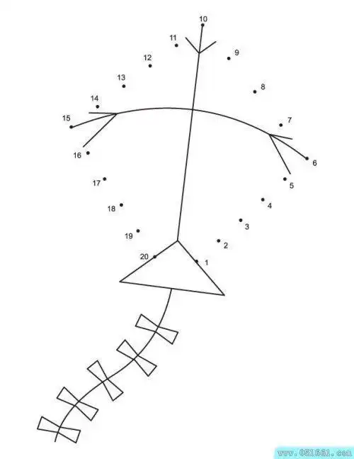 幼儿园虚线简笔画目标