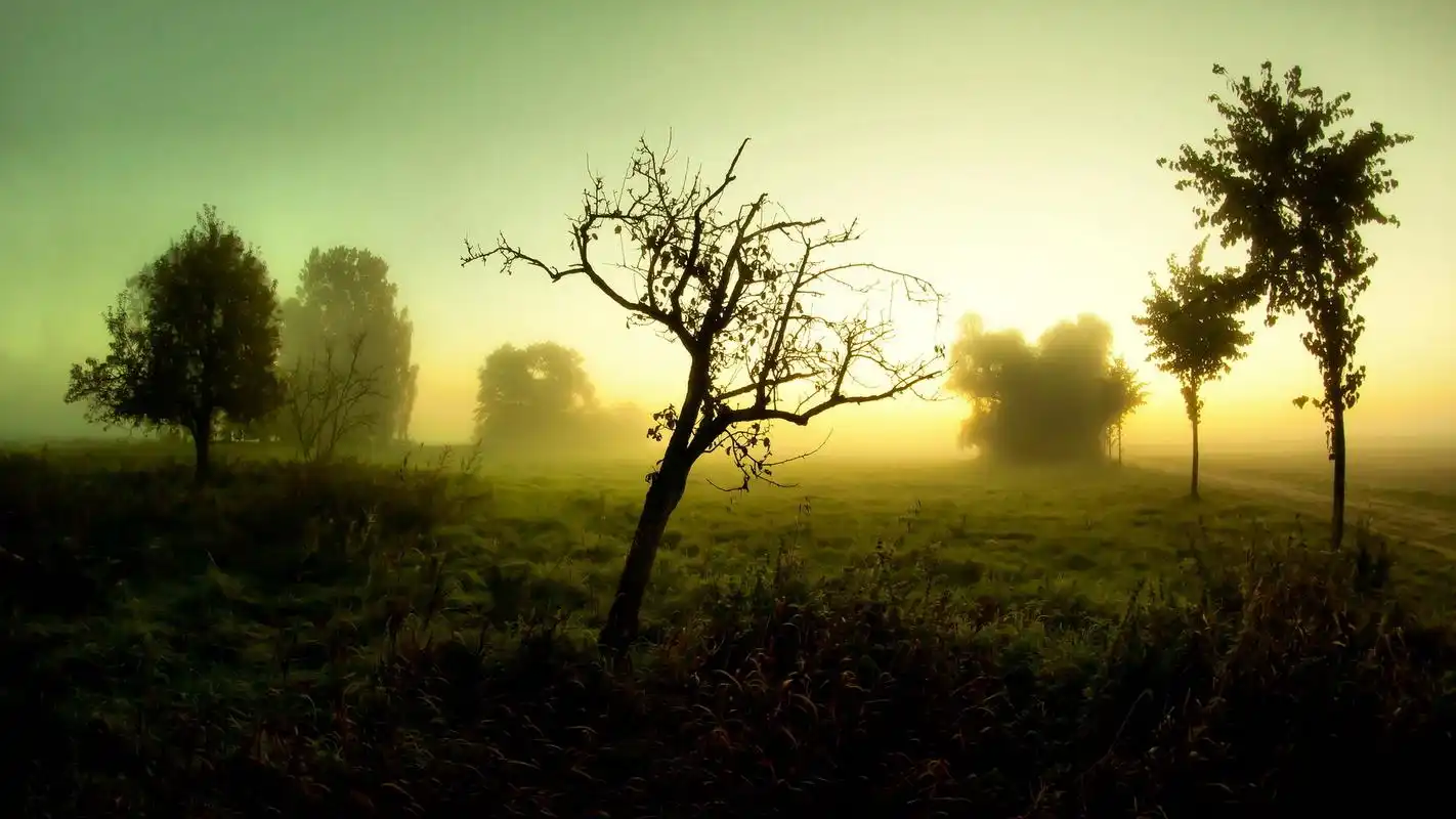 雾中美景经典雾的图片高清宽屏电脑桌面壁纸下载第二辑