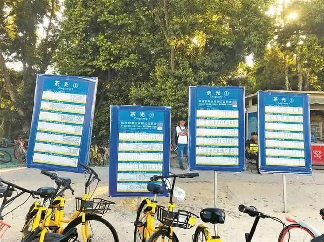 南山一公交站临时站牌插在沙地里 个个都是歪的