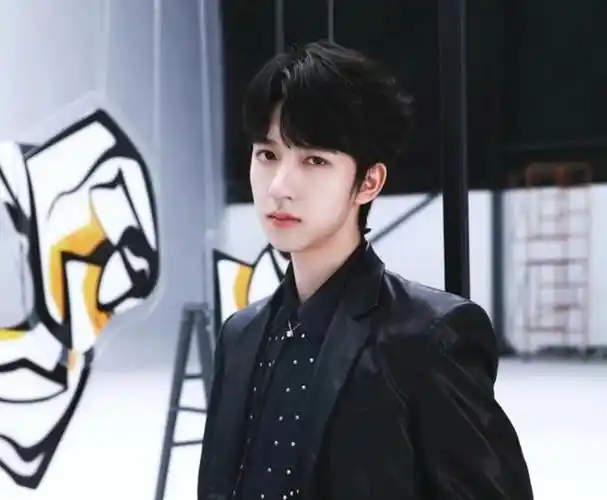 贺峻霖,2004年6月15日出生于四川省成都市,中国内地男歌手,演员,男子