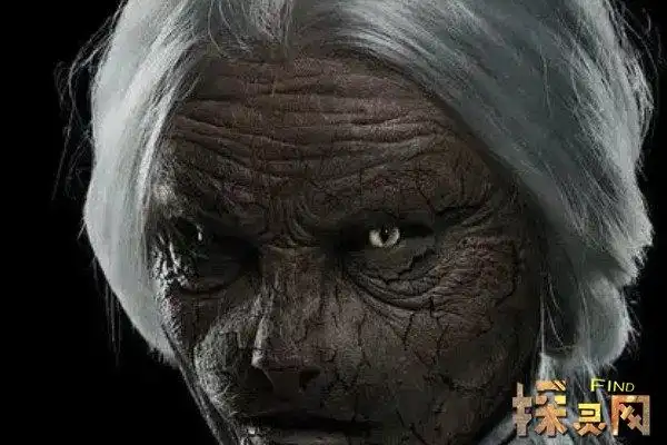 猫脸老太太吃小孩事件老太太借猫还魂专门吃小孩