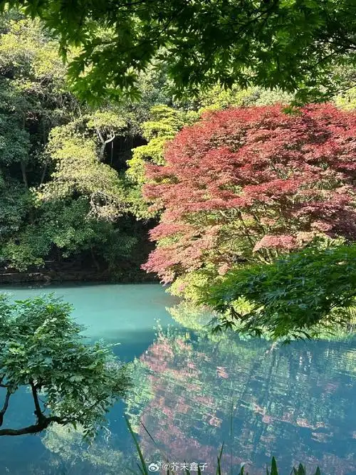 自然风光##旅行vlog##旅行推荐##自驾游##大美中国##一起去看海##小