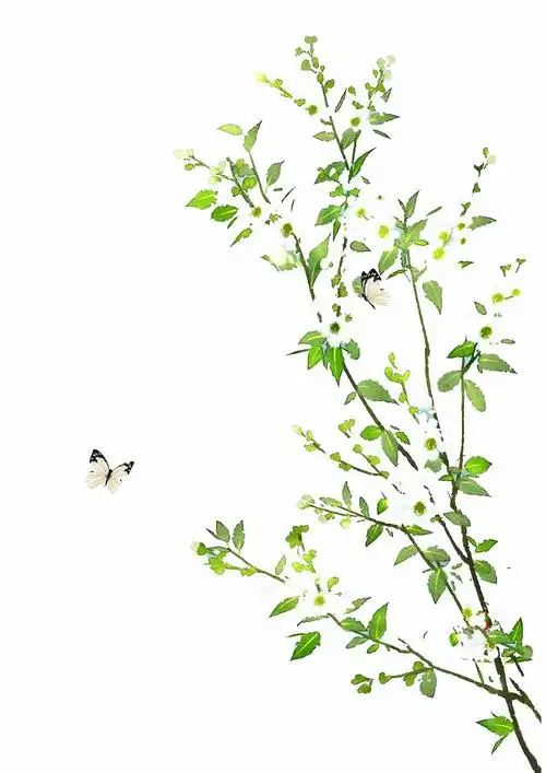 中国复古风##仙侠风##工笔画# 桃花 花卉 png素材 #免抠ps# 后期