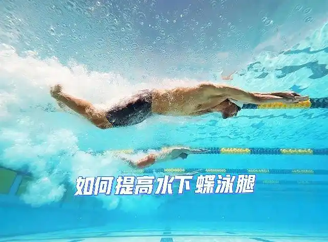 水下海豚打腿(underwater dolphin kick)也是水下蝶泳打腿,由于速度极