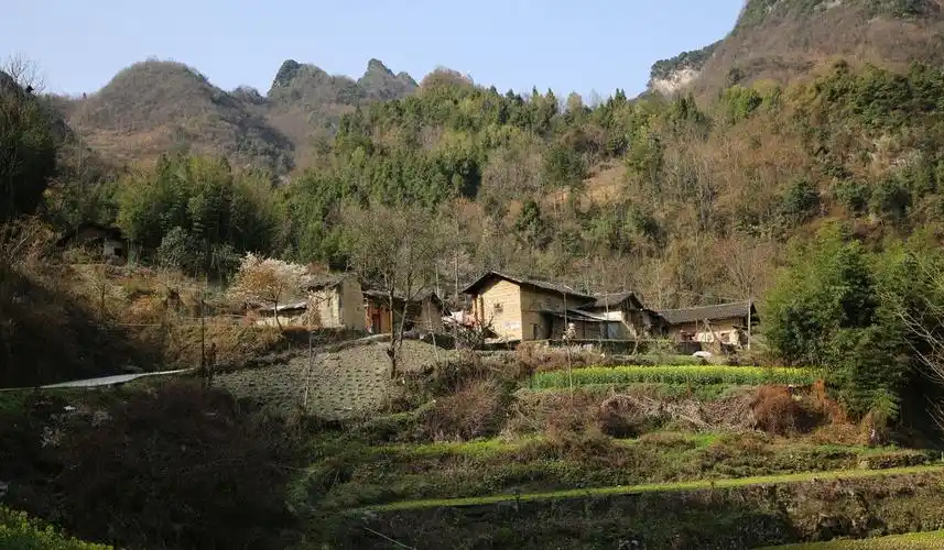 连载缘尽情未了15