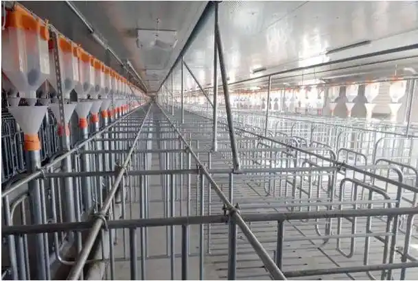 猪舍设计与猪场建设流程与细则