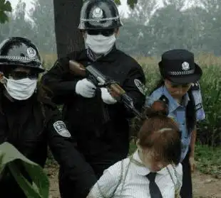 美女死刑犯未被击毙火化前突然复活大难不死能免除死刑吗