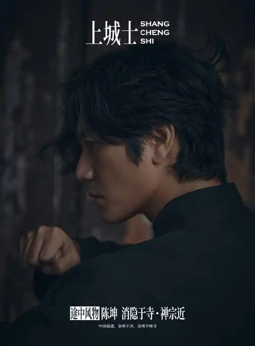 陈坤南少林禅武大片