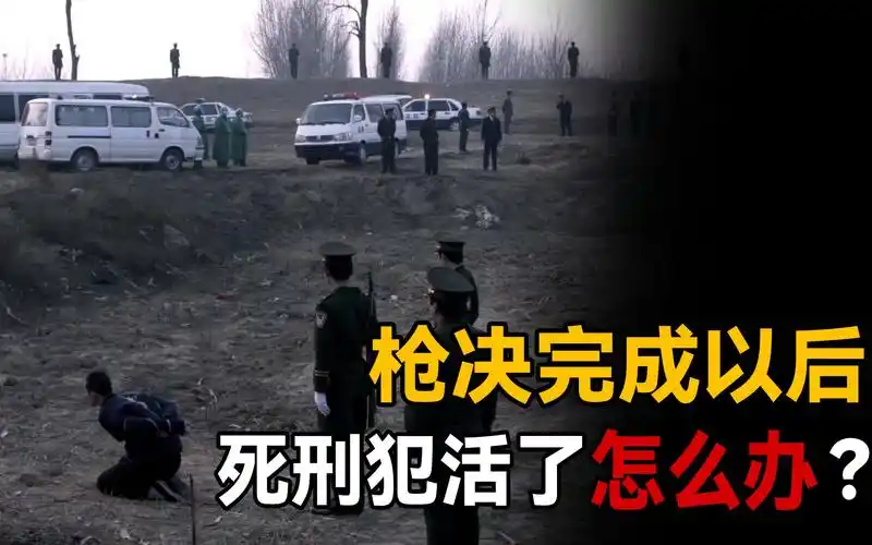 死刑犯被枪决后,遗体拉到殡仪馆意外复活,是继续火化还是释放?