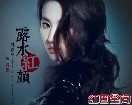 露水红颜海报