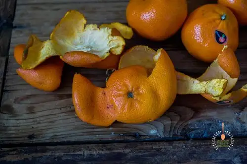 这水果大量上市果皮媲美黄金很多人不懂总当垃圾扔了