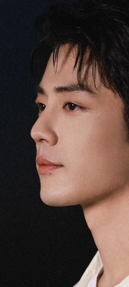 第n次被肖战的脸惊艳到脸在江山在#肖战