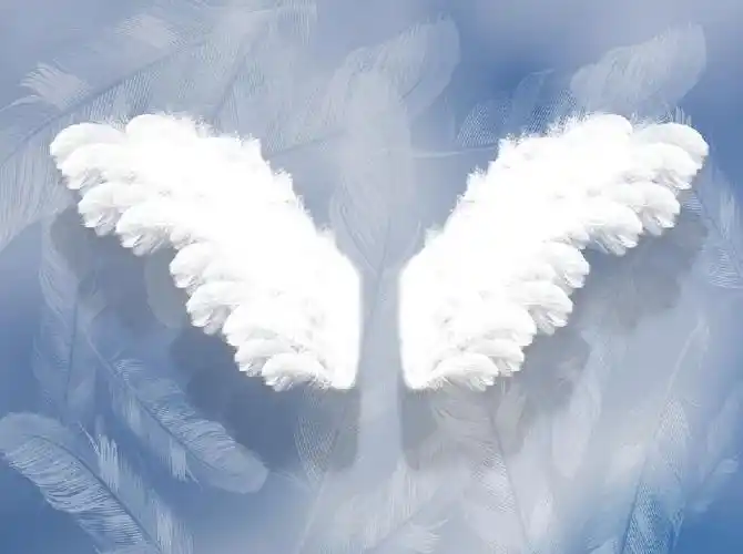 拍照背景布婴儿牛宝宝加厚背景纸室内装饰百天照儿童影楼成长毯子