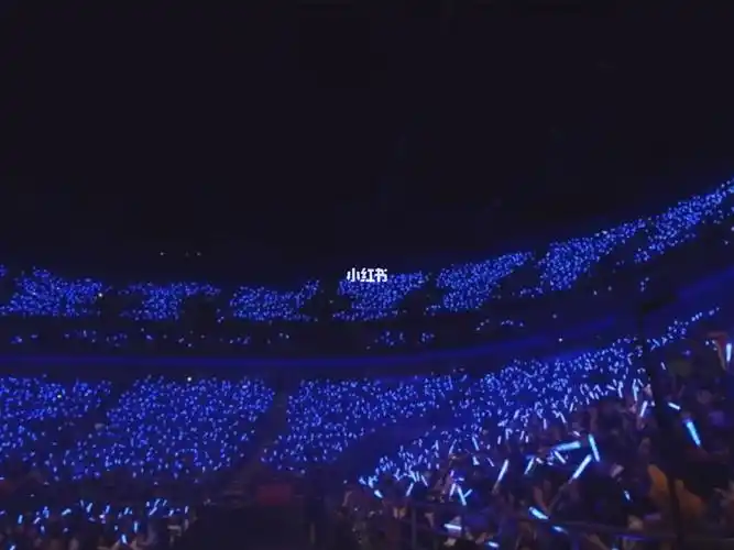 无边界个人#演唱会  的蓝海77#王俊凯  18岁生日会的#粉丝大合唱