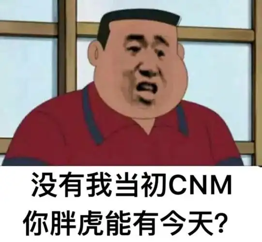 没有我当初cnm你胖虎能有今天胖虎表情包