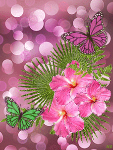 会动的照片,花飞蝴蝶乱,太美了~(值得收藏)_花间扑