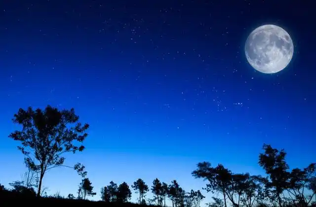 形容夜晚宁静唯美的句子