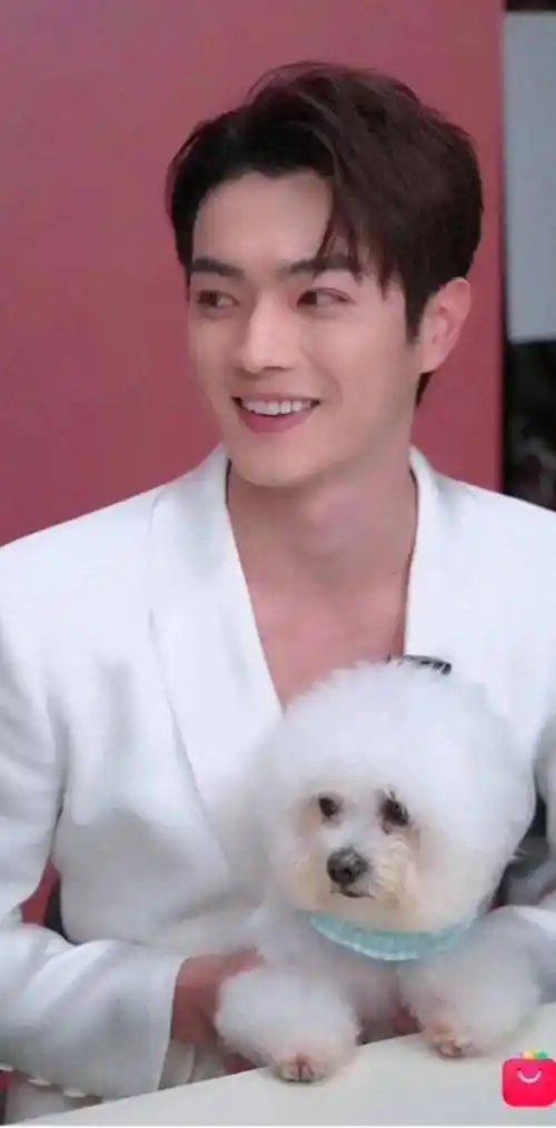 许凯:笑靥如花,治愈系男神的魅力绽放