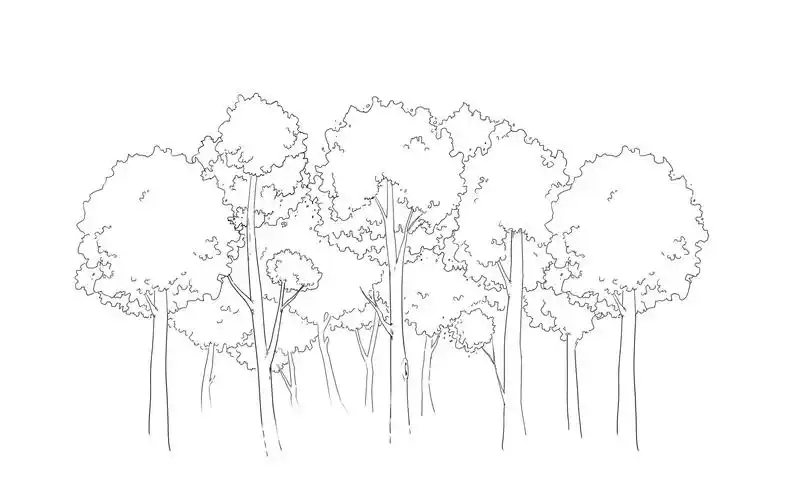 标签:森林线稿背景