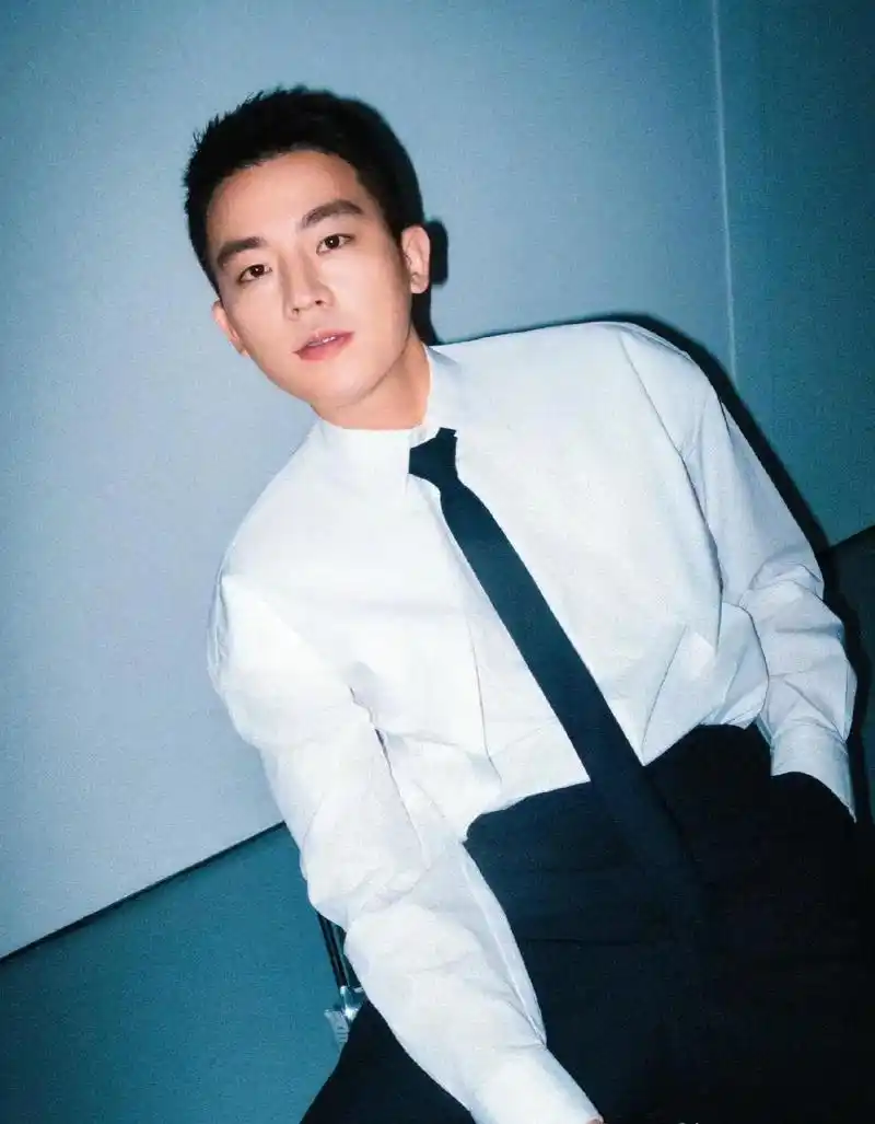 宋茜工作室在26日发布的声明中对宋茜和欧豪的网络隐婚传闻进行了坚决