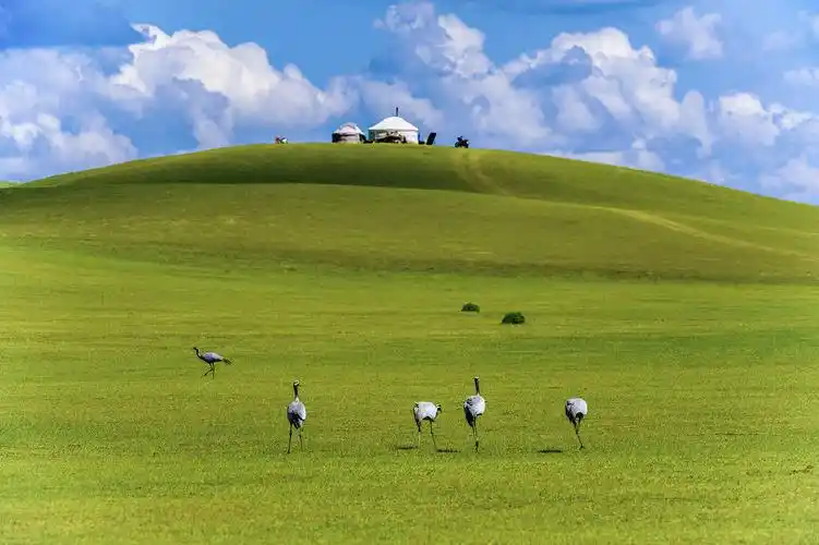 科尔沁草原风光