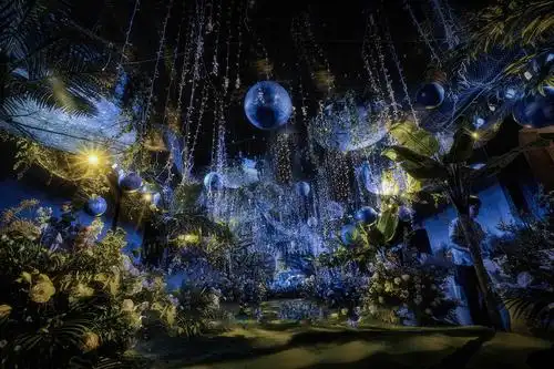 点事一站式平台_【婚礼那点事】星空创意梦幻婚礼】(图)_婚礼现场图片