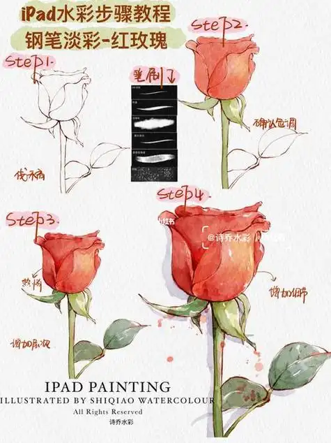 水彩玫瑰花 水彩玫瑰花的画法