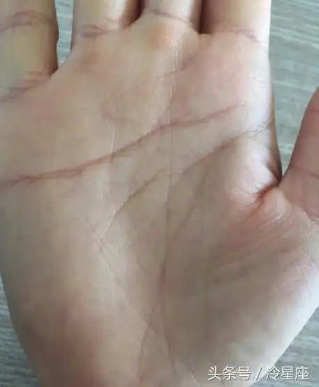 马云手相放大(马云手相三角纹放大照)