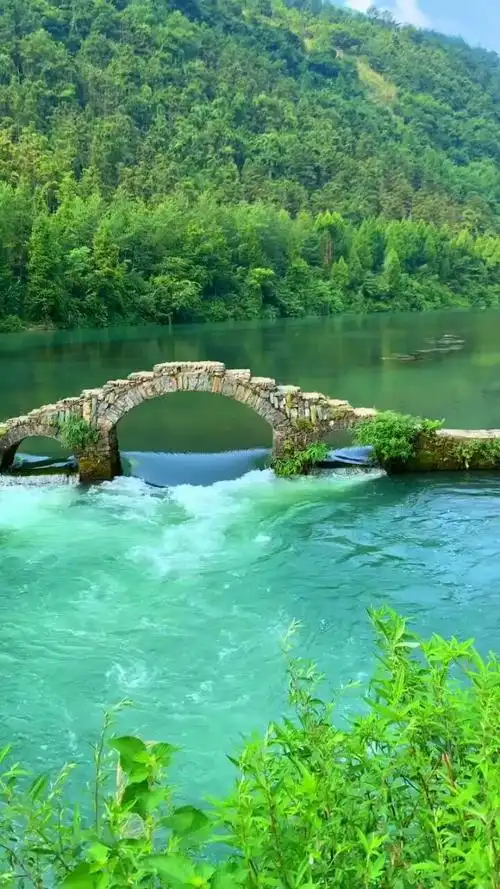 小桥流水,少个人家可惜了啊!动态壁纸_高清竖屏视频下载-火萤壁纸