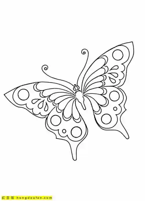 11张精致美丽的卡通蝴蝶儿童简笔画大全